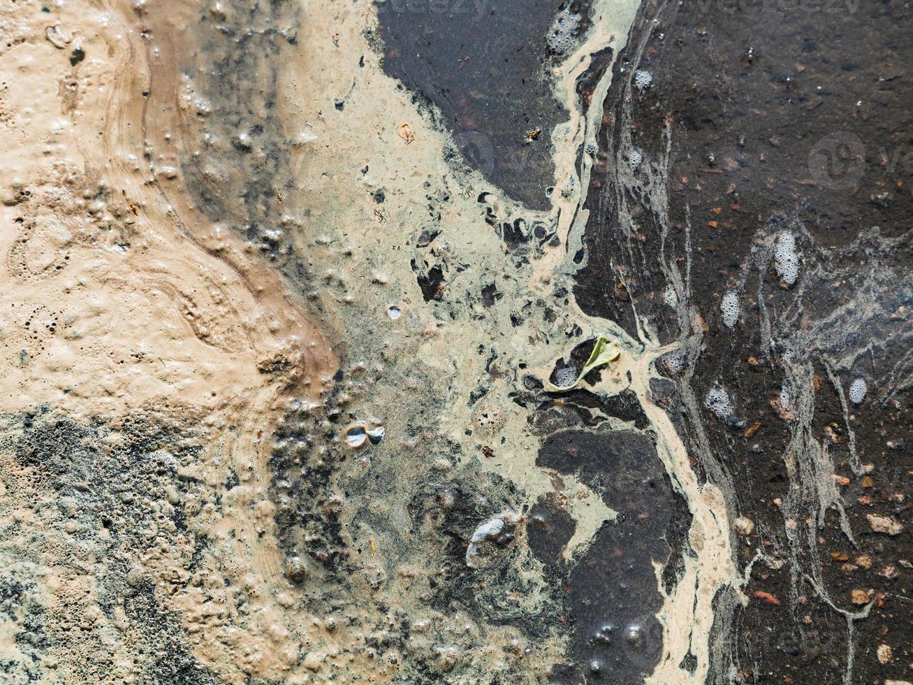 birch pollen in water of puddle in spring photo
