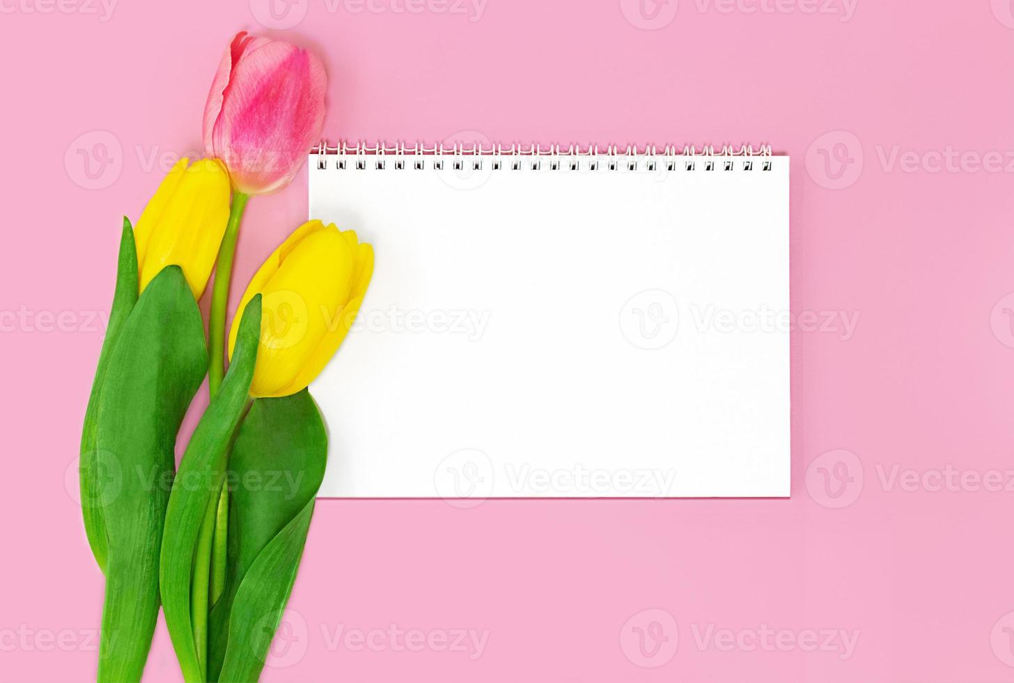tulipanes con cuaderno vacío con espiral sobre fondo rosa. tarjeta de felicitación. copie el espacio foto