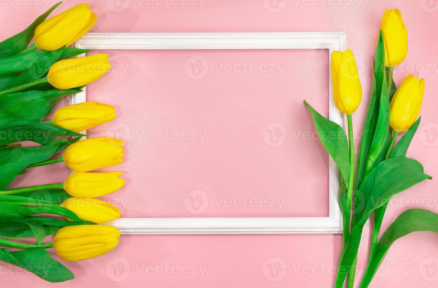 Yellow tulips side view with frame. Empty space for text. Spring and summer card. Background for Birthday, March 8, international mother's day photo