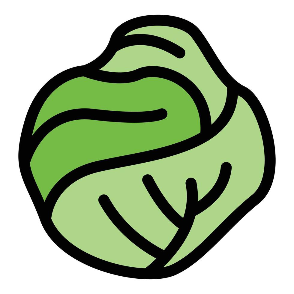 Bio cabbage icon color outline vector