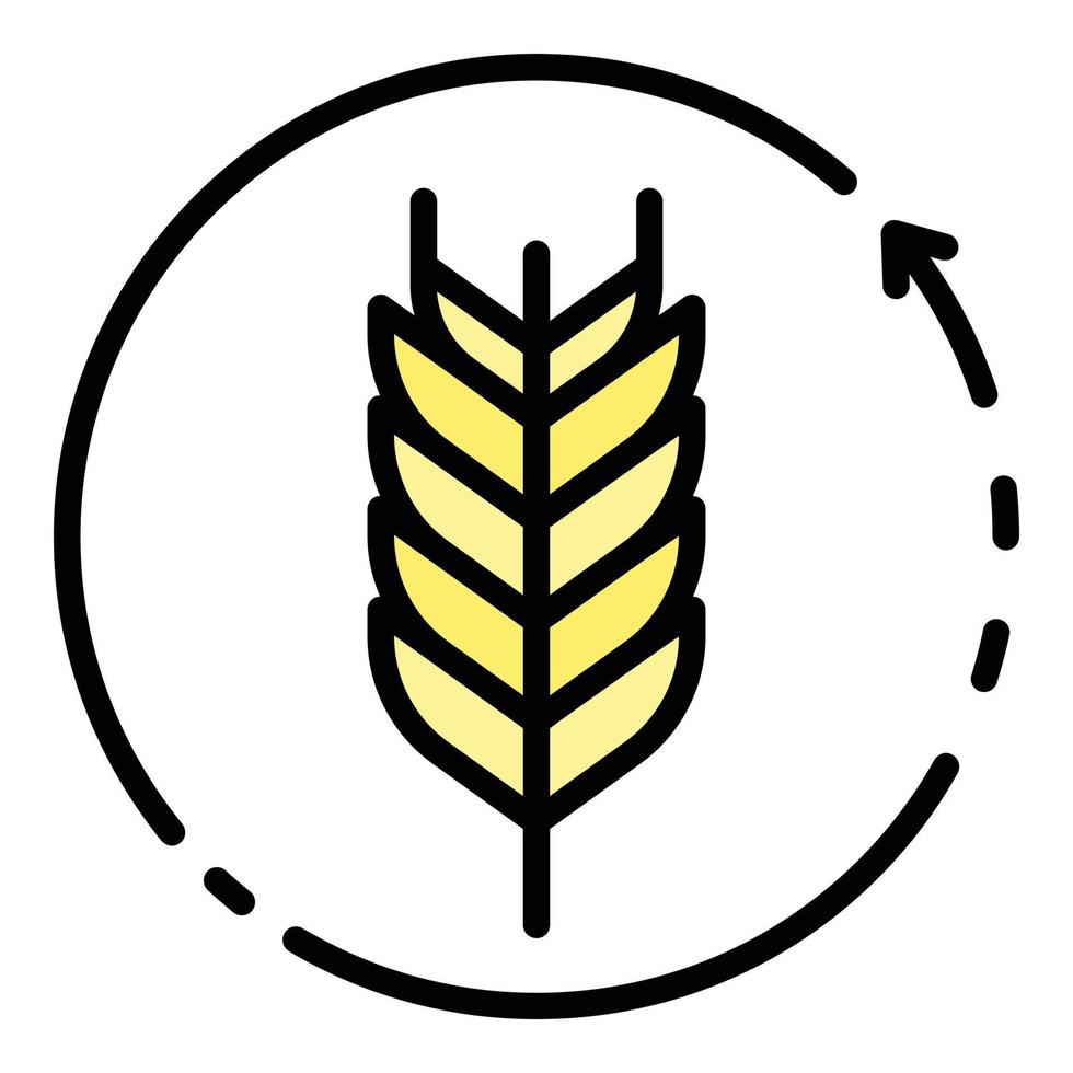 vector de contorno de color de icono de planta de trigo ecológico