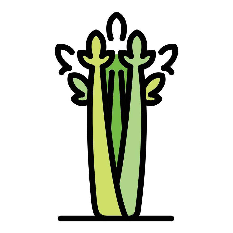 Herb celery icon color outline vector