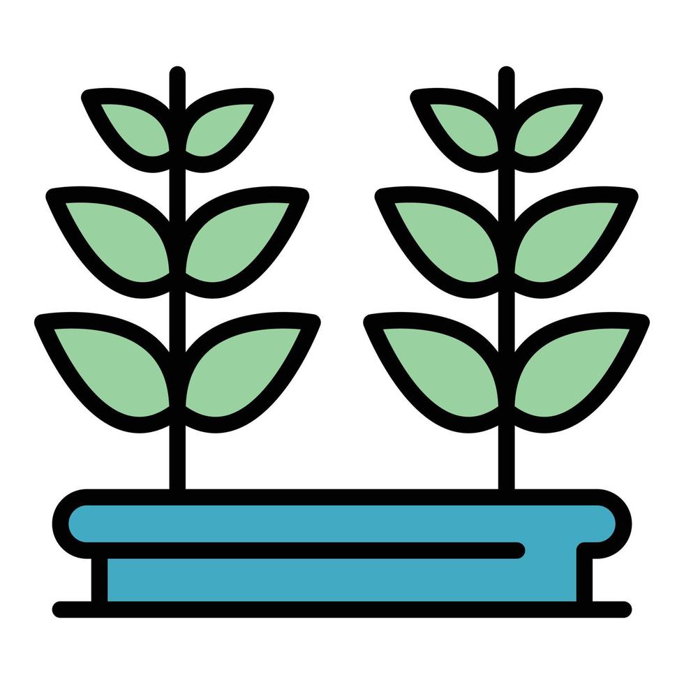 Window plant pot icon color outline vector