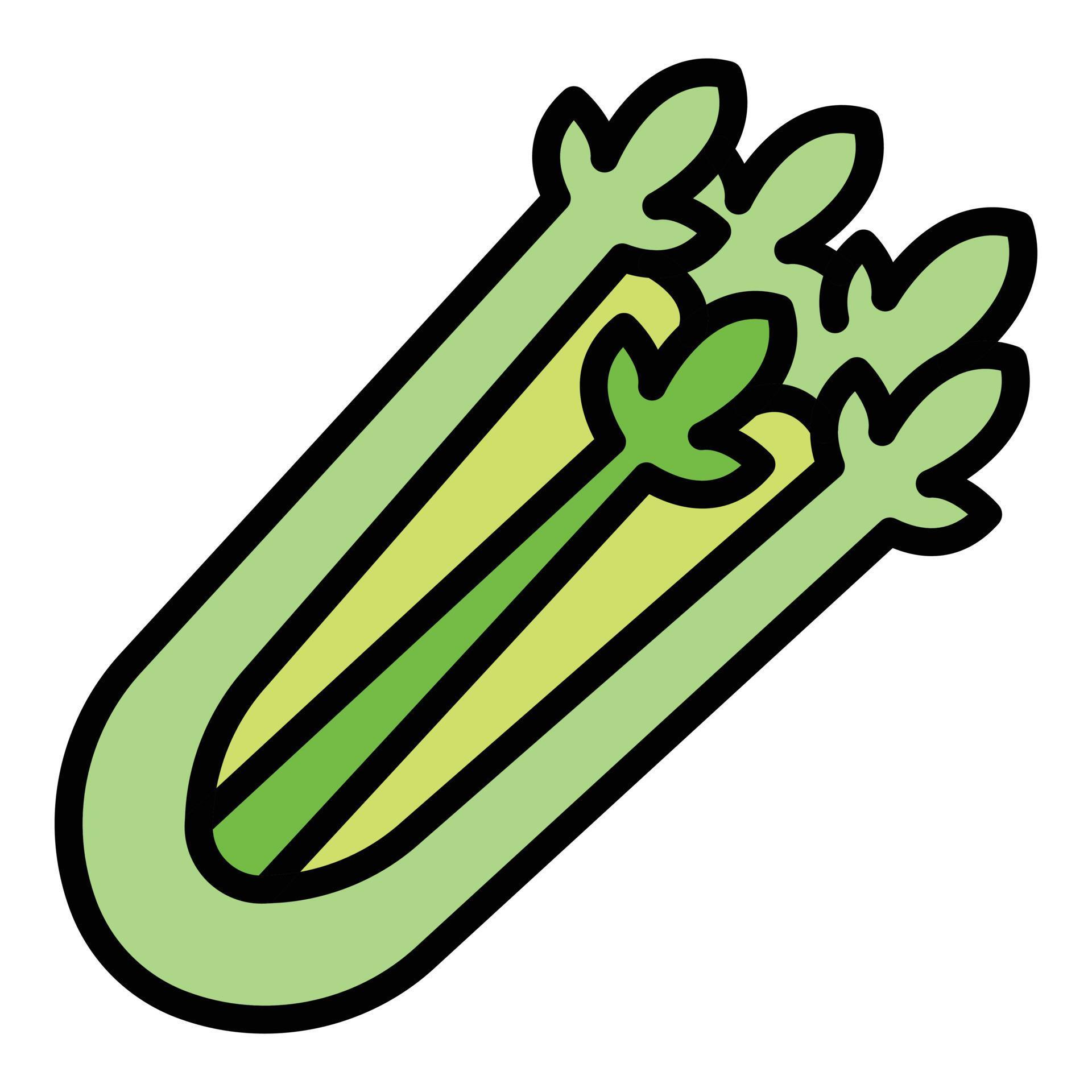 Celery plant icon color outline vector 15141135 Vector Art at Vecteezy