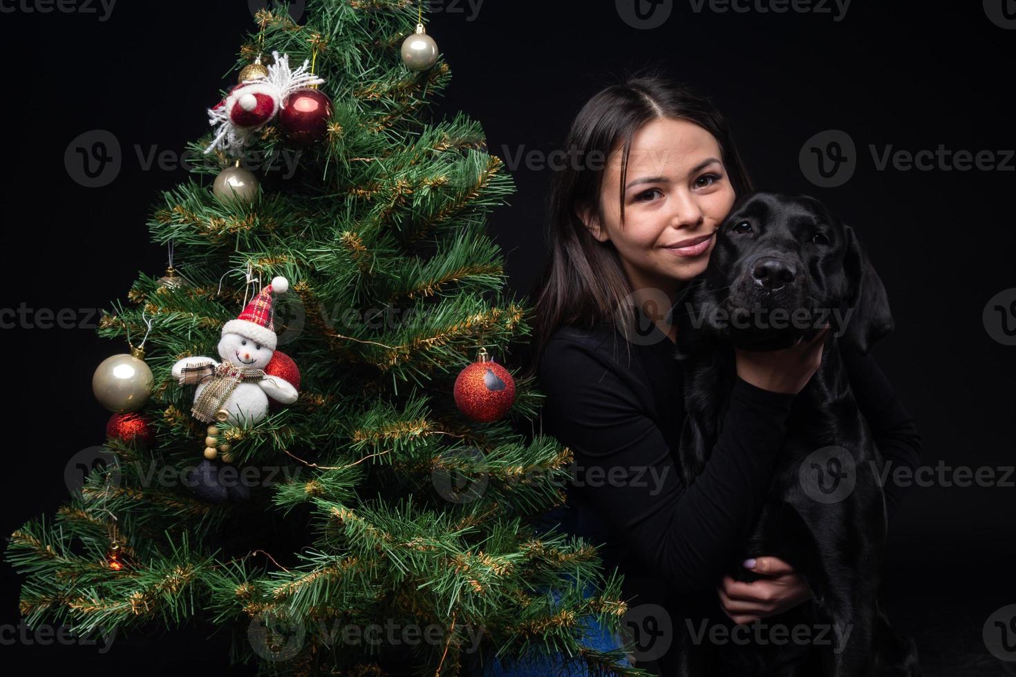 Portrait of a Labrador Retriever dog with its owner, near the new year's green tree. photo