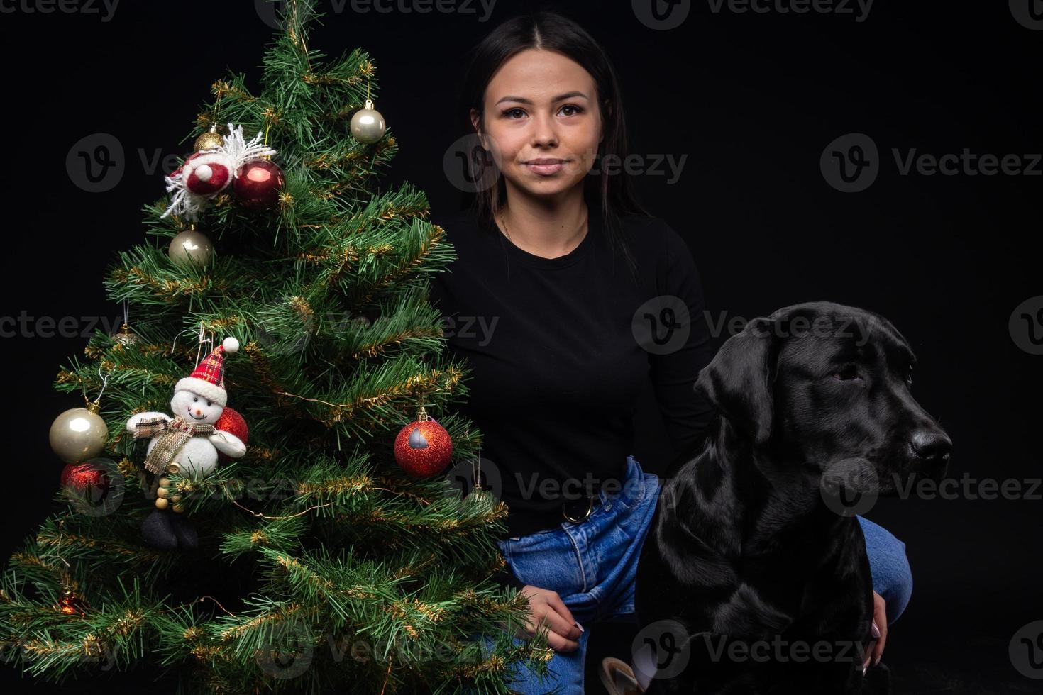 Portrait of a Labrador Retriever dog with its owner, near the new year's green tree. photo