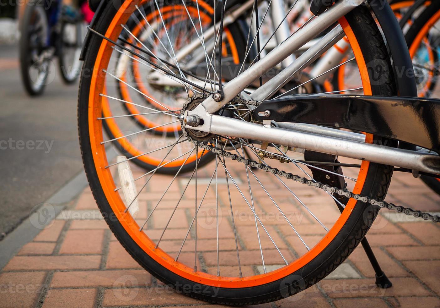 Bike rental on the main street of the city. Bike sharing system. photo