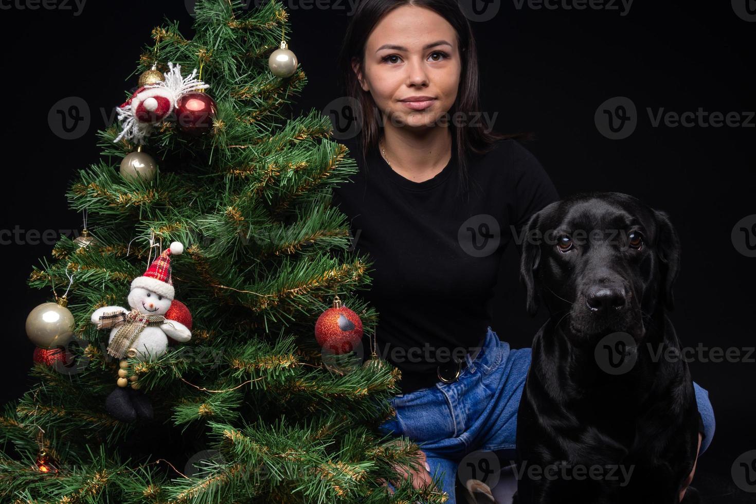 Portrait of a Labrador Retriever dog with its owner, near the new year's green tree. photo