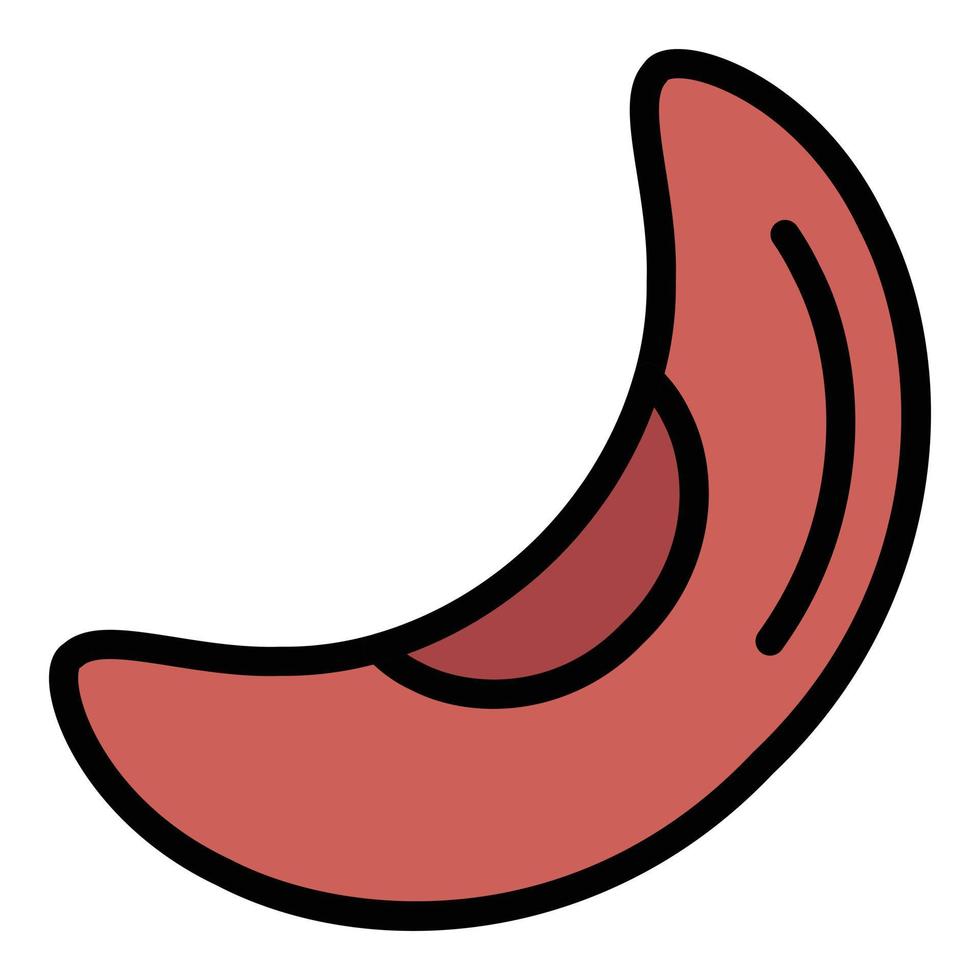 Organic kidney bean icon color outline vector