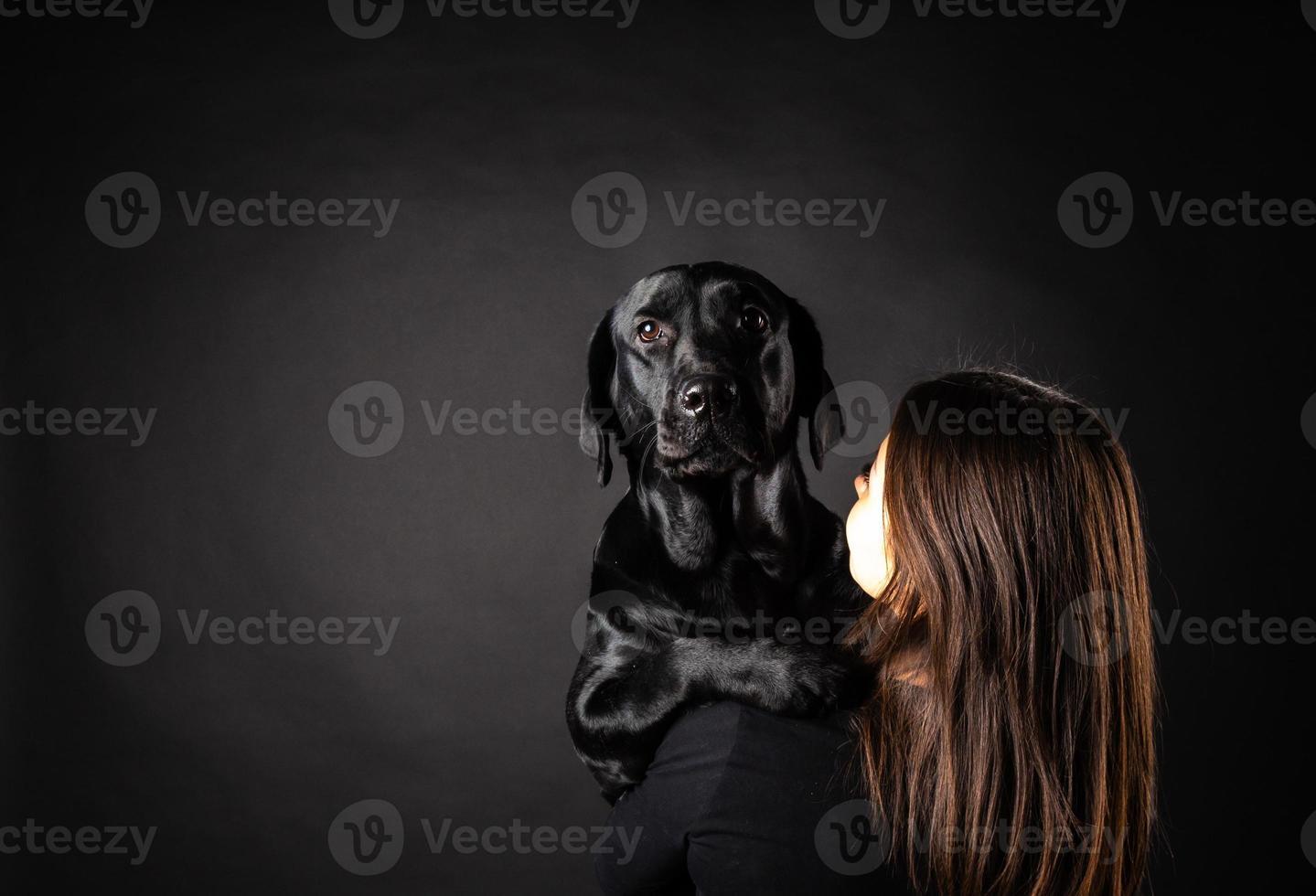 A girl holds a Labrador Retriever dog in her arms. photo