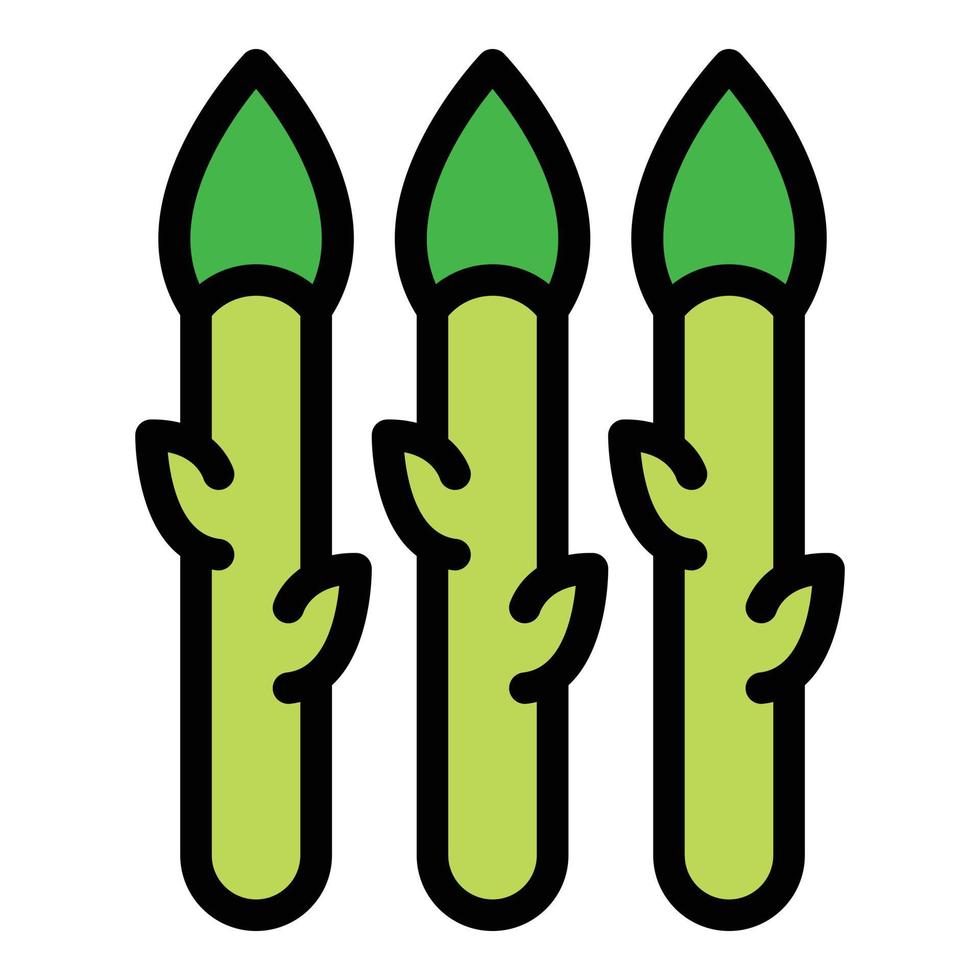 Vitamin asparagus icon color outline vector