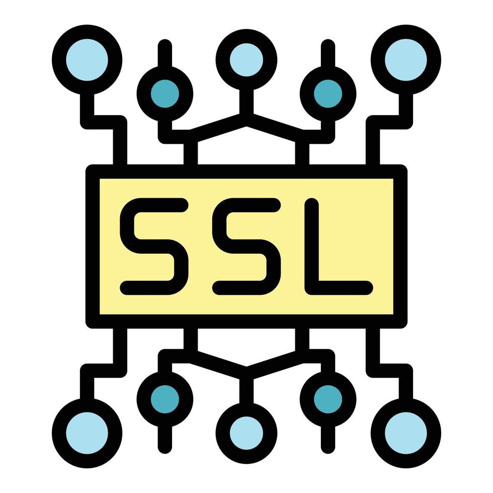 vector de contorno de color de icono de certificado ssl