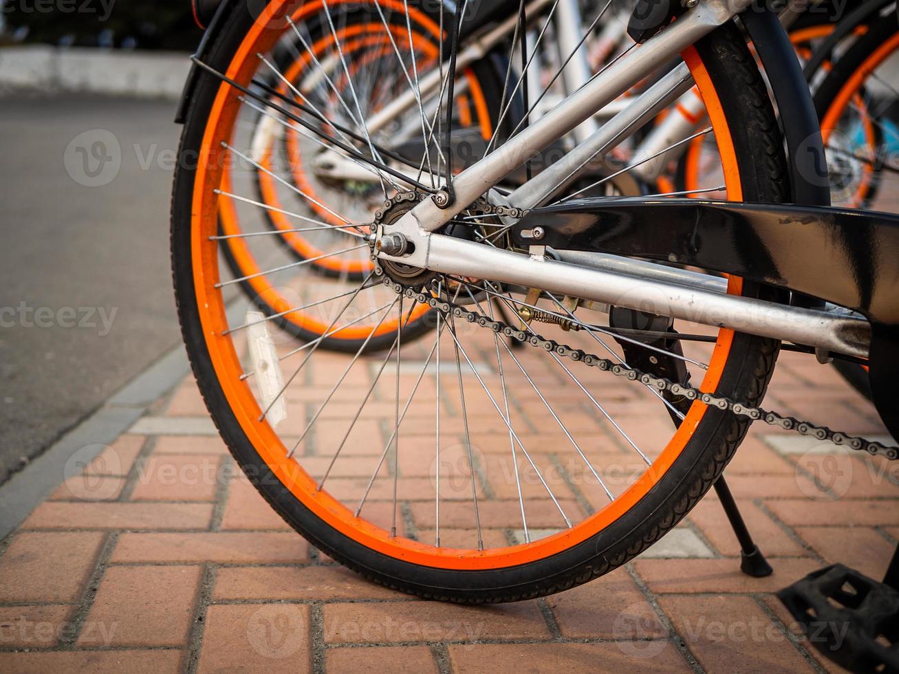 Bike rental on the main street of the city. Bike sharing system. photo