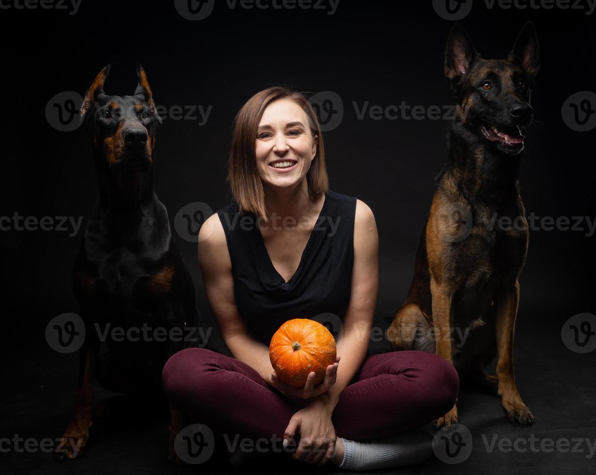 Portrait of a Doberman dog and a Belgian shepherd dog with a girl owner. photo