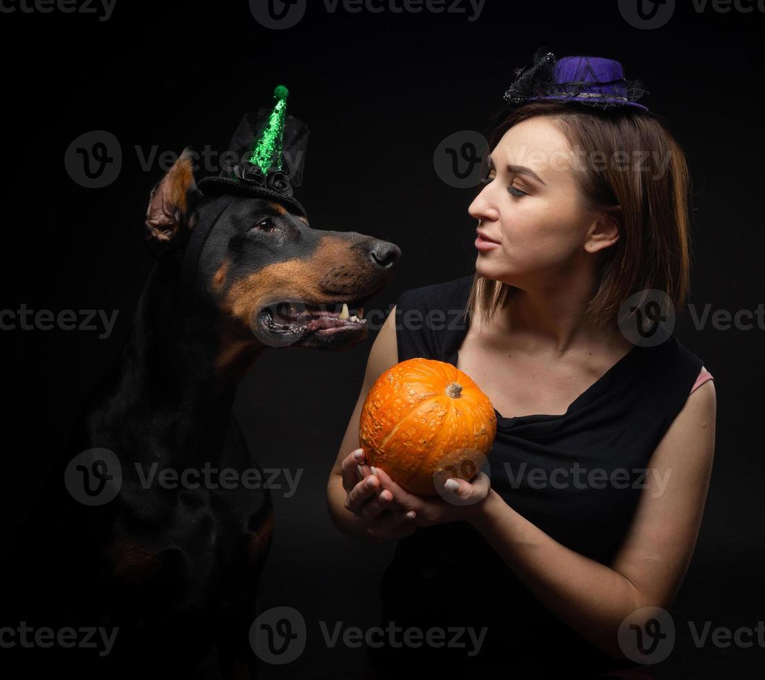 Portrait of a Doberman dog with a girl owner. In carnival costumes with a pumpkin. photo