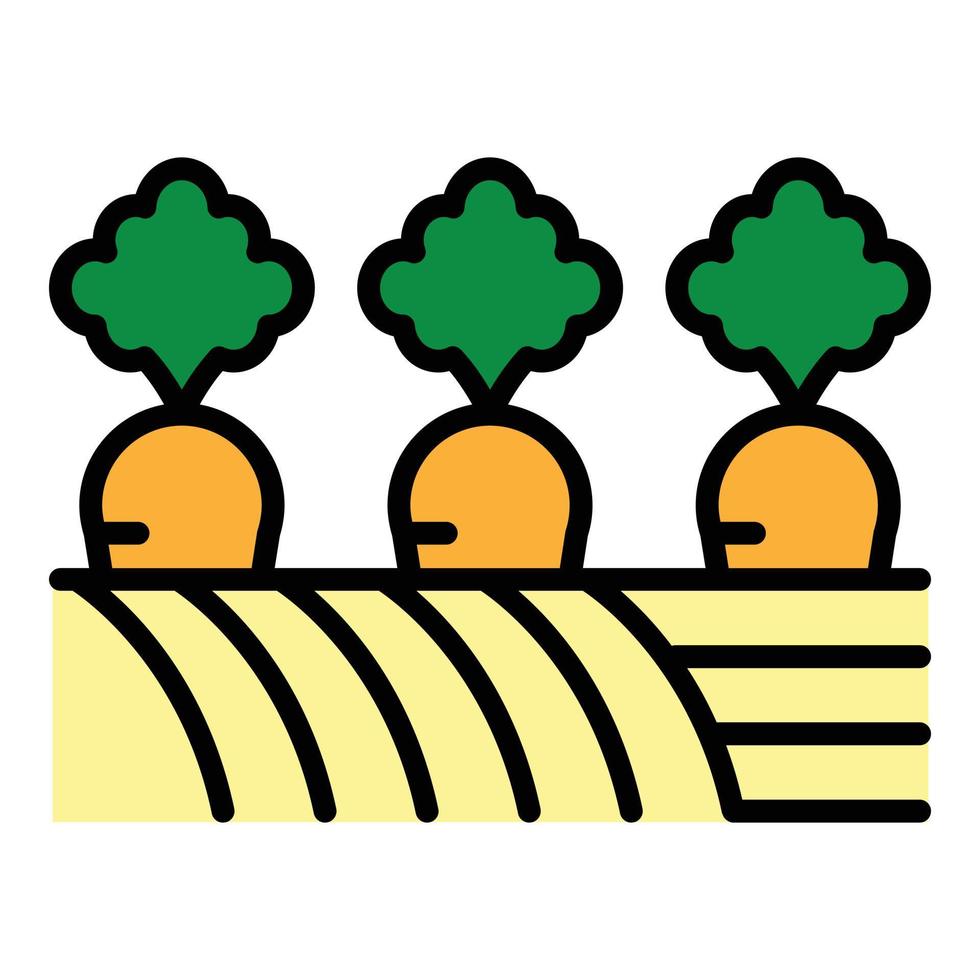 Carrots in farm garden icon color outline vector