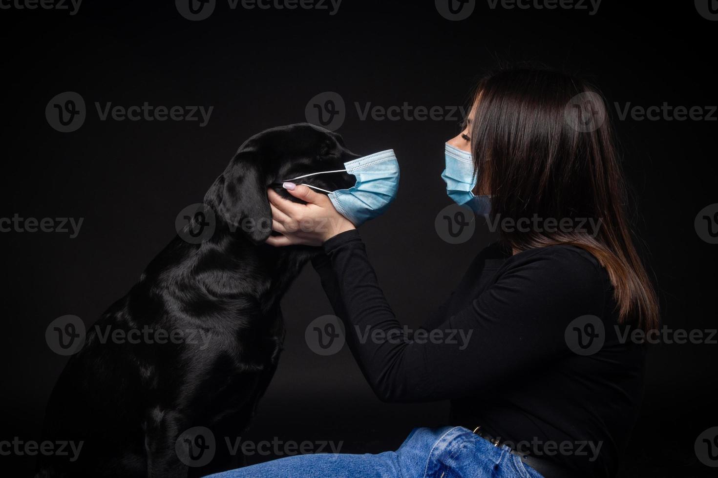 Portrait of a Labrador Retriever dog in a protective medical mask with a female owner. photo