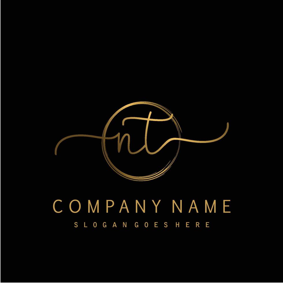 Initial NT handwriting logo with circle hand drawn vector