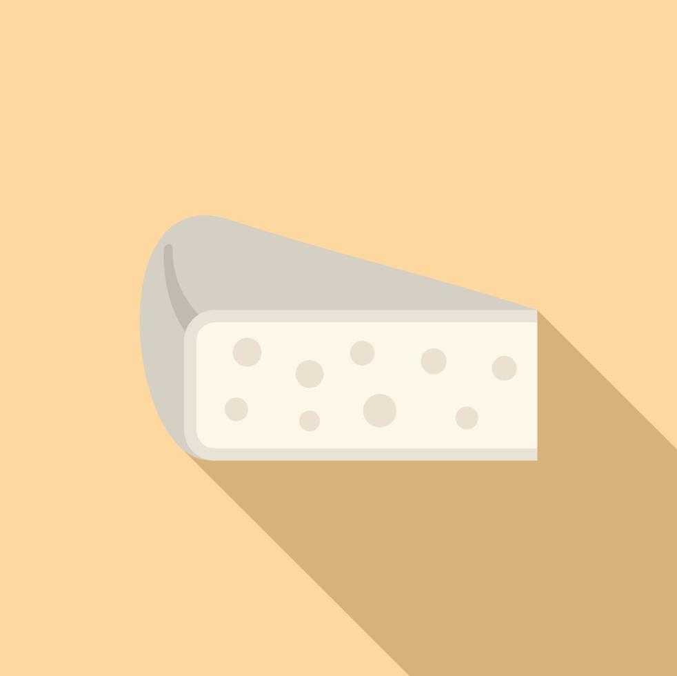 White cheese icon flat vector. Milk production vector