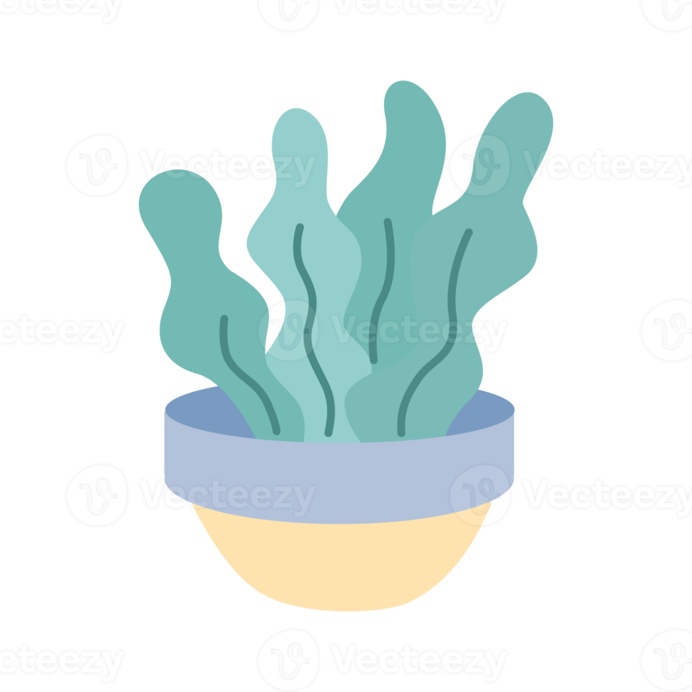 Simple aloe vera potted house plant for design ornament png