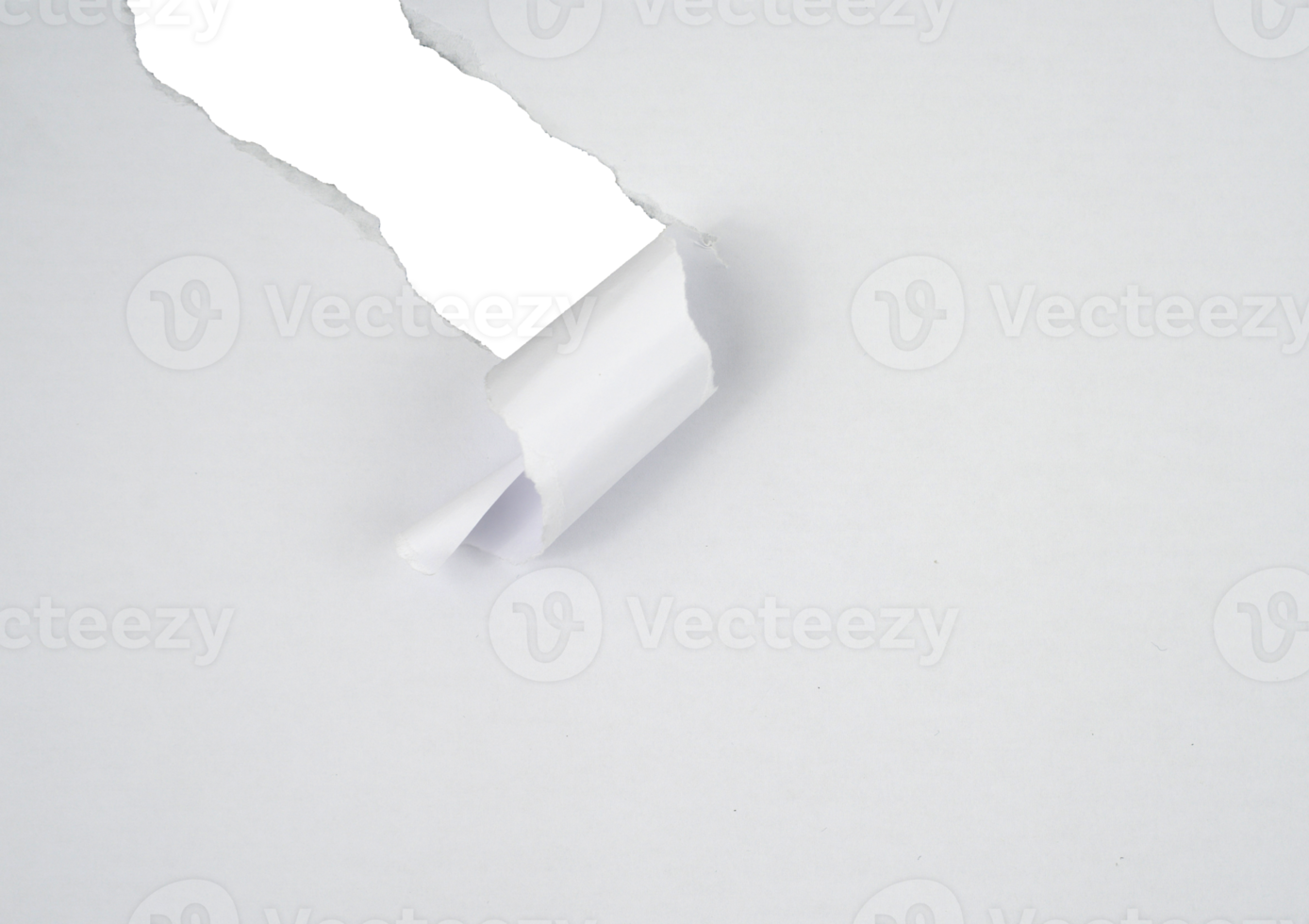 Torn paper with the curled ripped sides. Realistic torn paper with the ripped edges for copy space and text. png