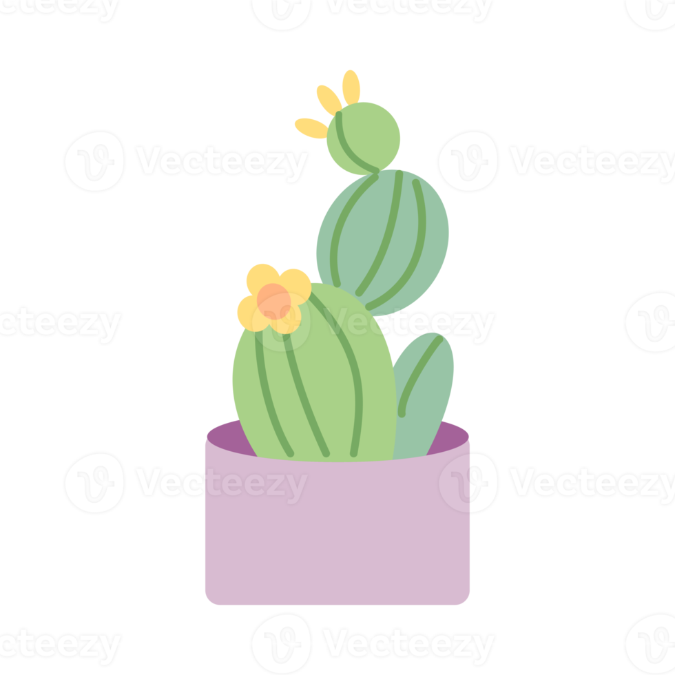 Simple cactus potted house plant for design ornament png