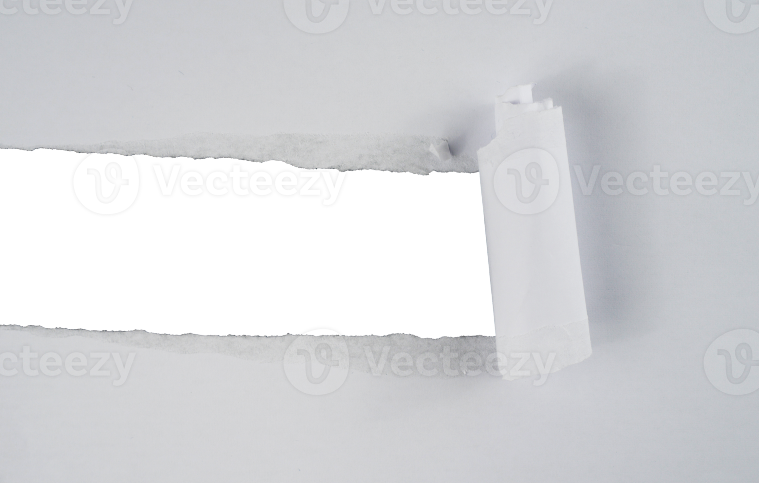 Torn paper with the curled ripped sides. Realistic torn paper with the ripped edges for copy space and text. png