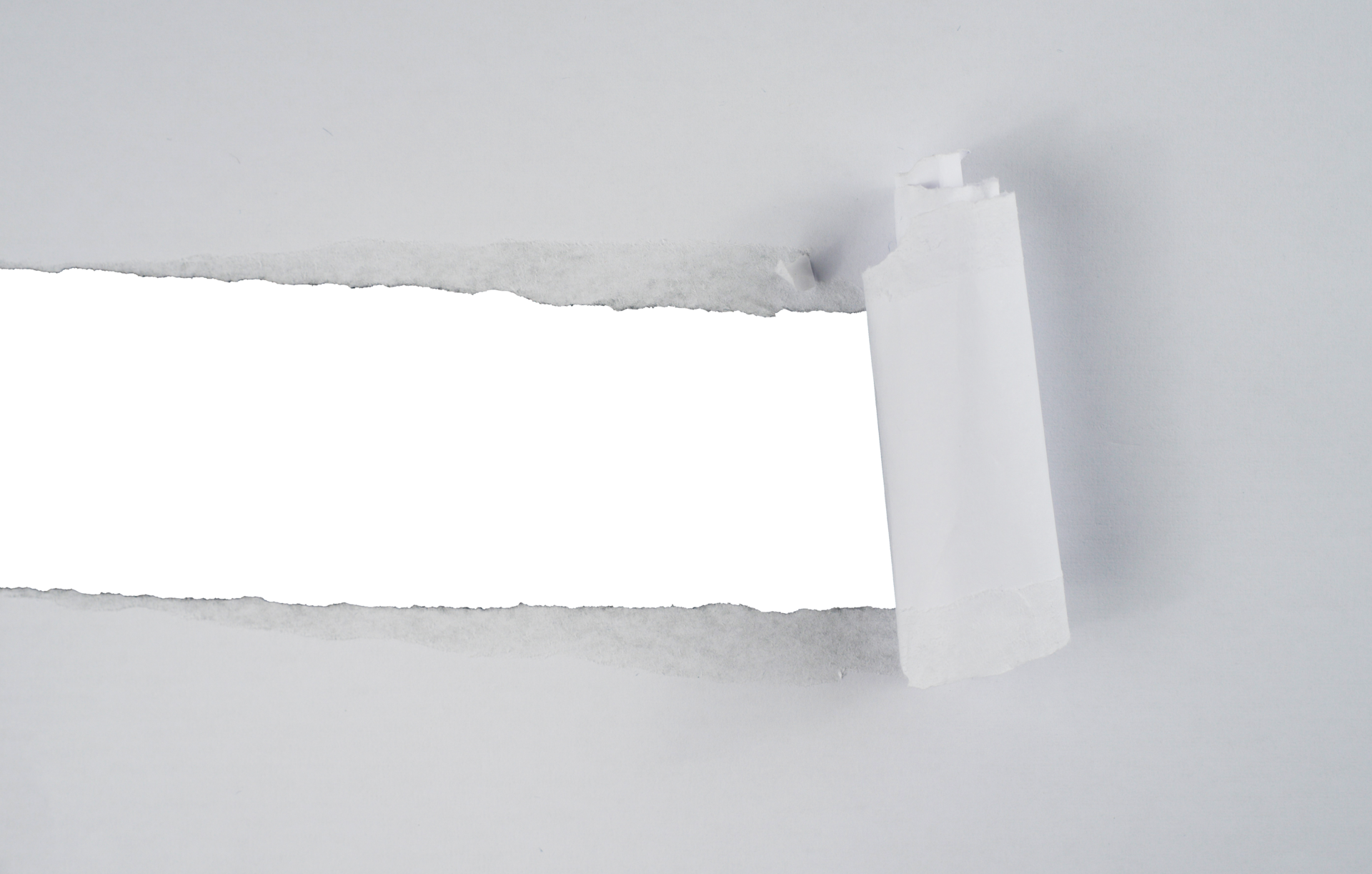 Torn paper with the curled ripped sides. Realistic torn paper with the