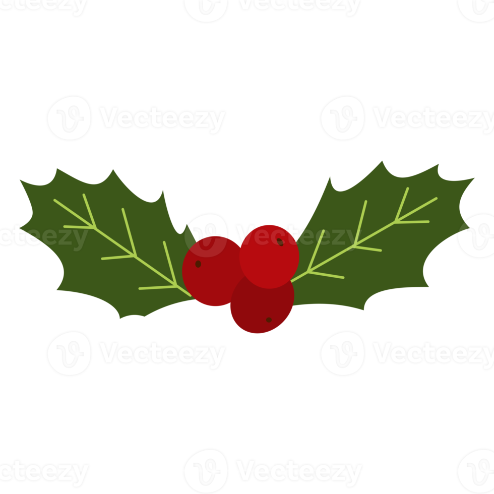 Christmas Wreath Ornament Illustration png