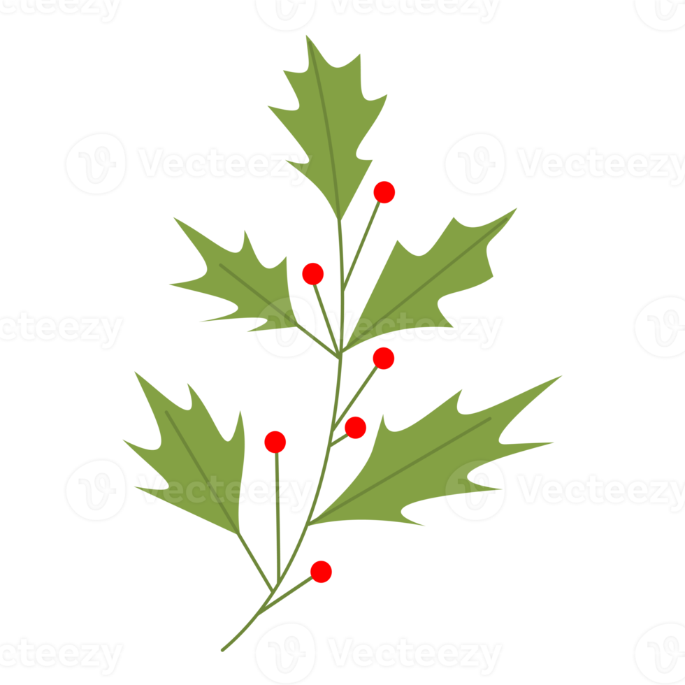 illustration de baies pour décoration de noël png