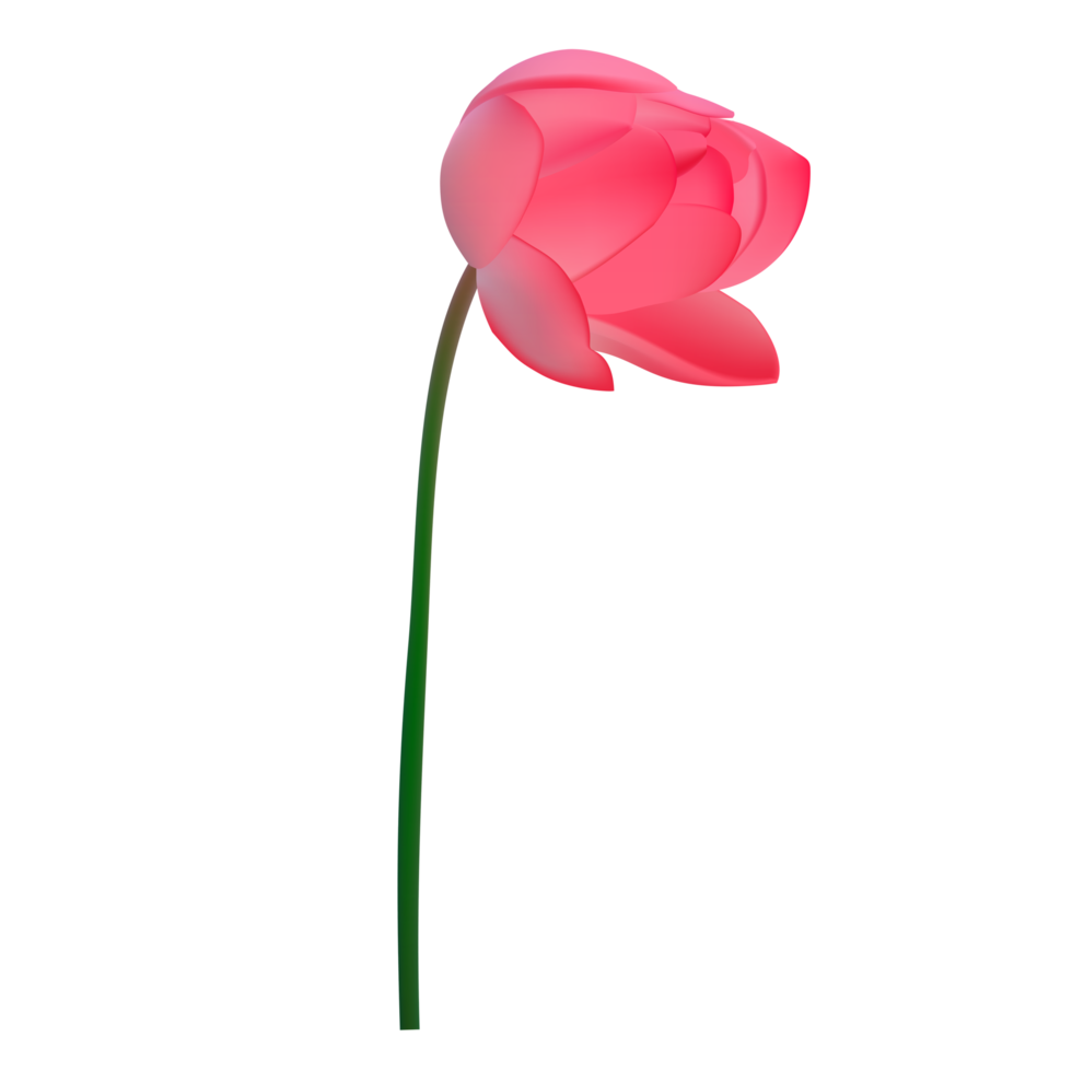 illustration de fleur de lys png