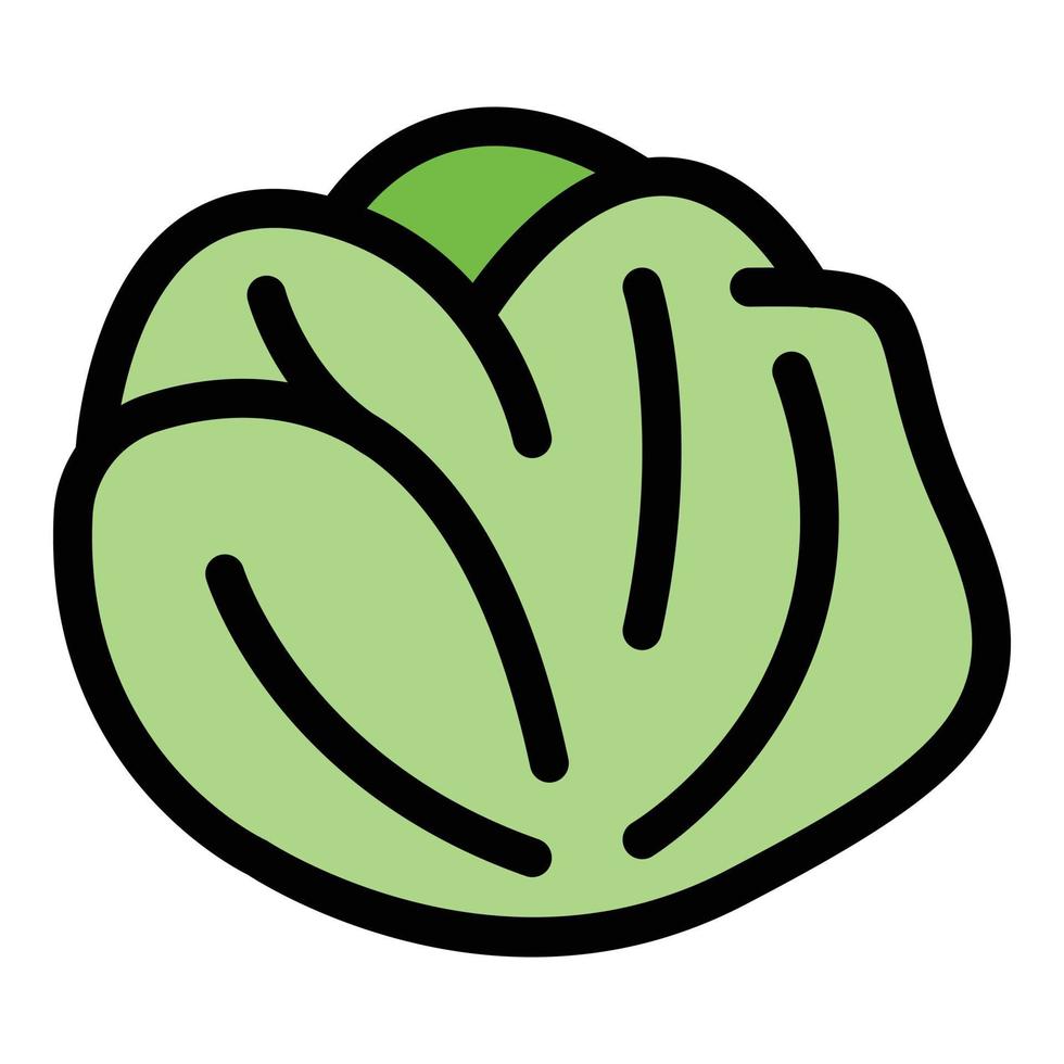Organic cabbage icon color outline vector