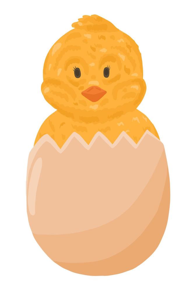 Yellow little chick in egg vector