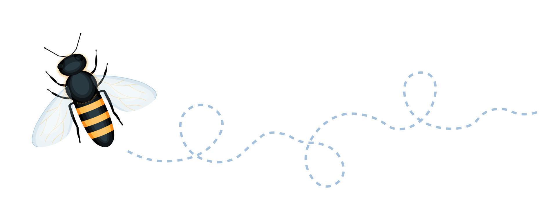 bee trail road vector
