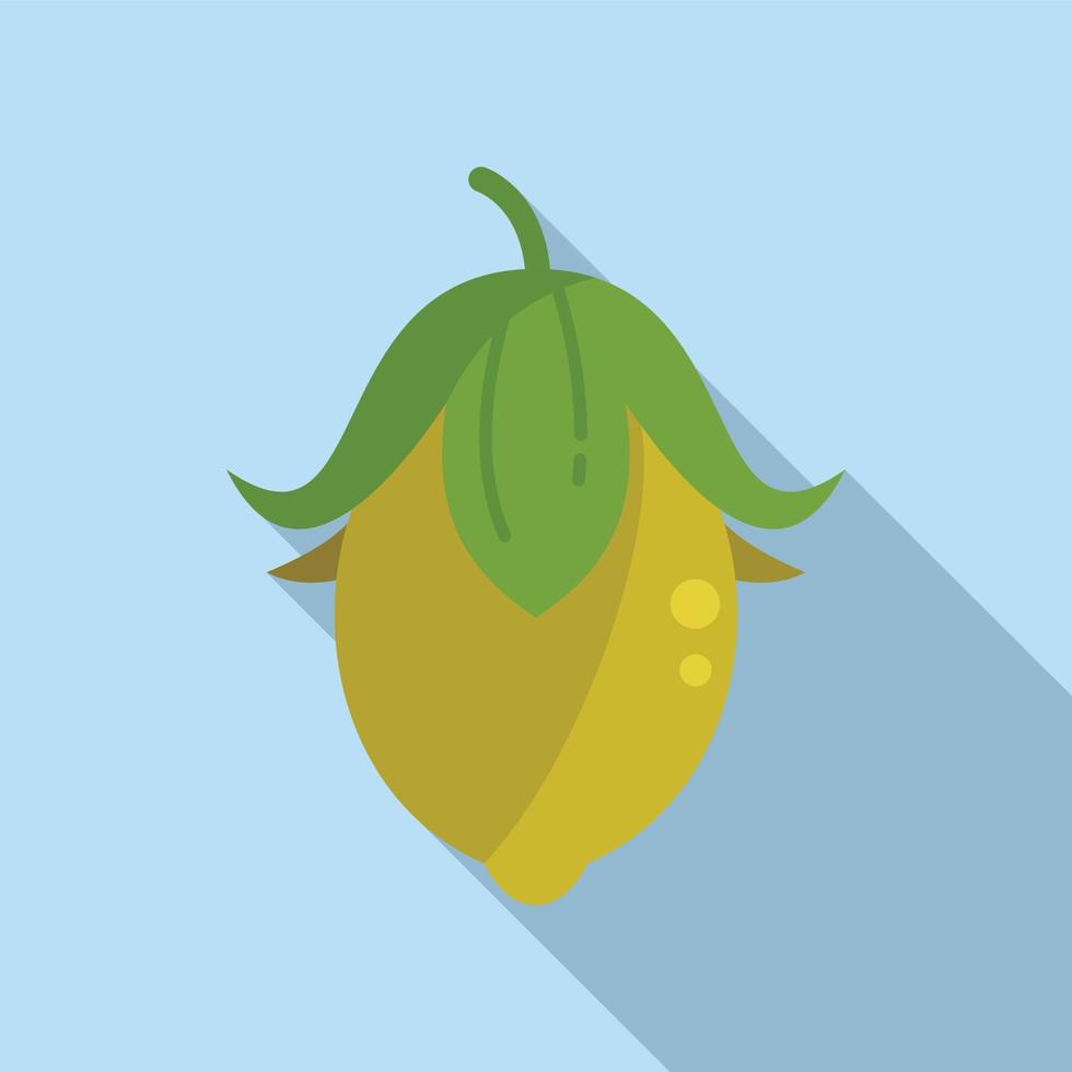 Jojoba fruit icon flat vector. Plant seed vector