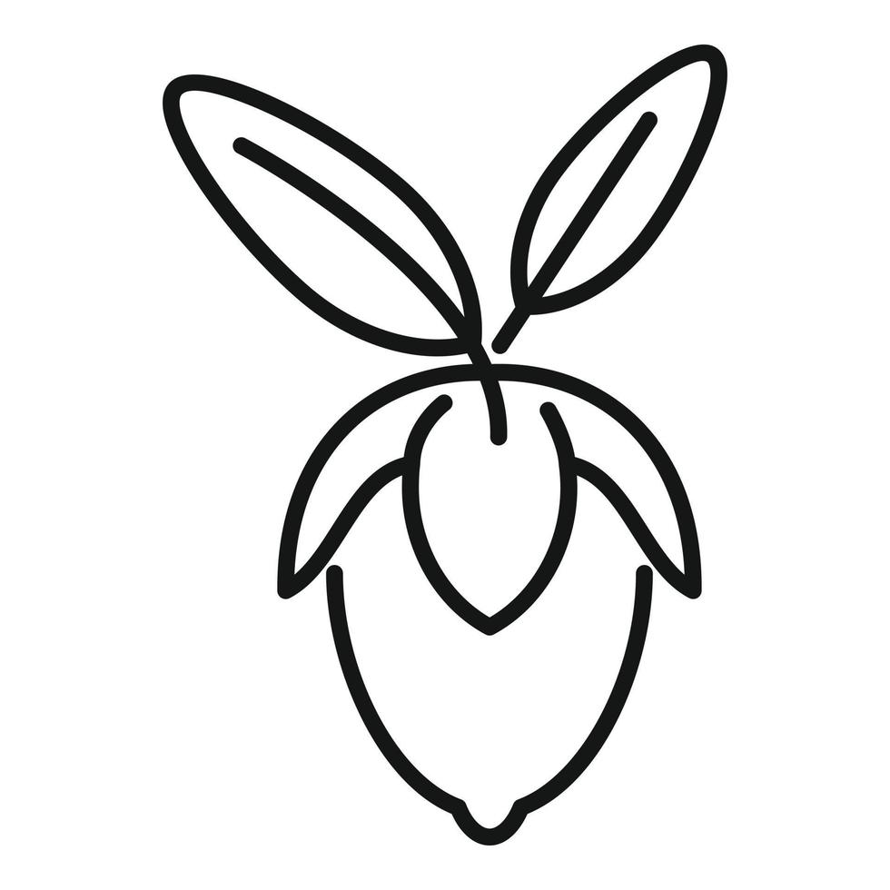 vector de contorno de icono de hoja de jojoba. hierba aromática
