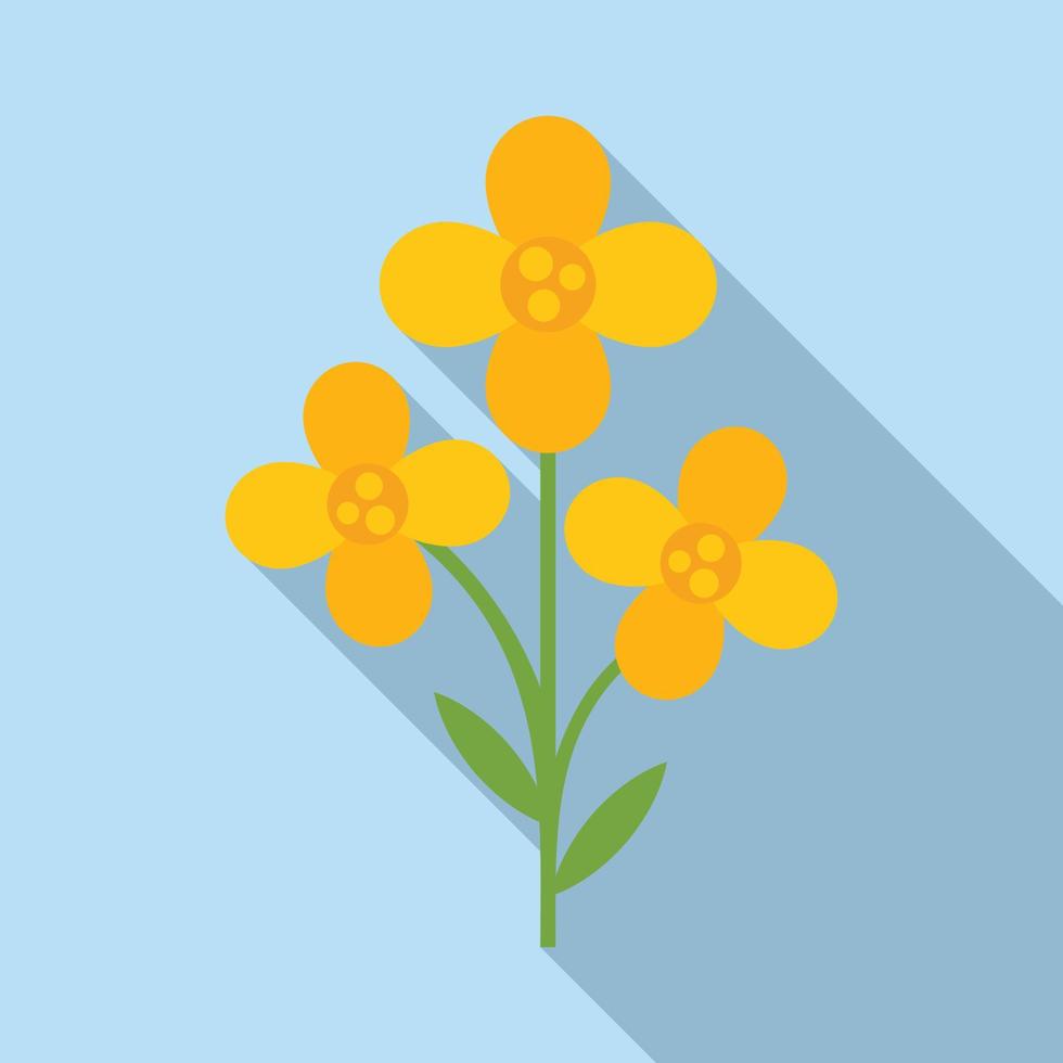 vector plano de icono de canola de campo. planta de aceite