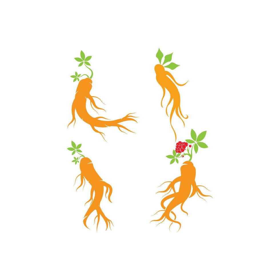 ginseng icono vector ilustración diseño logo