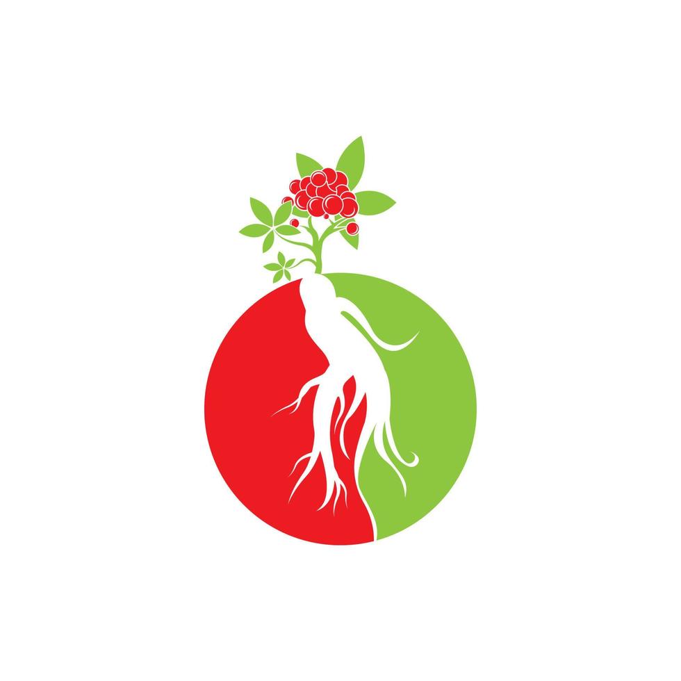 ginseng icono vector ilustración diseño logo