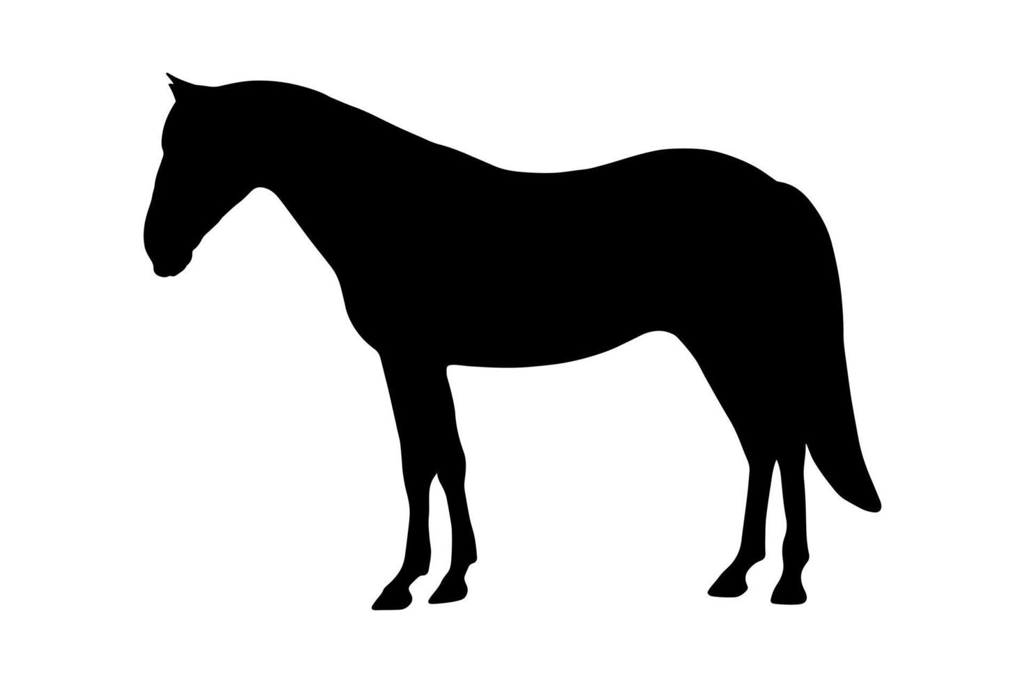 Horse animal silhouette shadow shape isolated on white background. Black simple emblem. vector