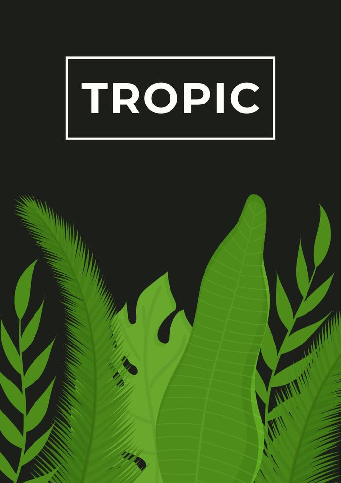 Vector illustration of a poster with tropical leaves. Palm leaves for advertising on a dark background.