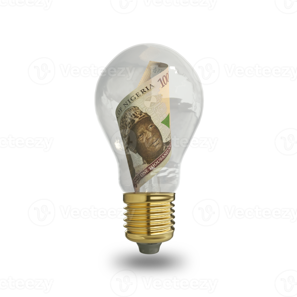 3d rendering of Nigerian Naira note inside transparent light bulb isolated on transparent background, creative thinking. Making money by solving problem. idea concept png