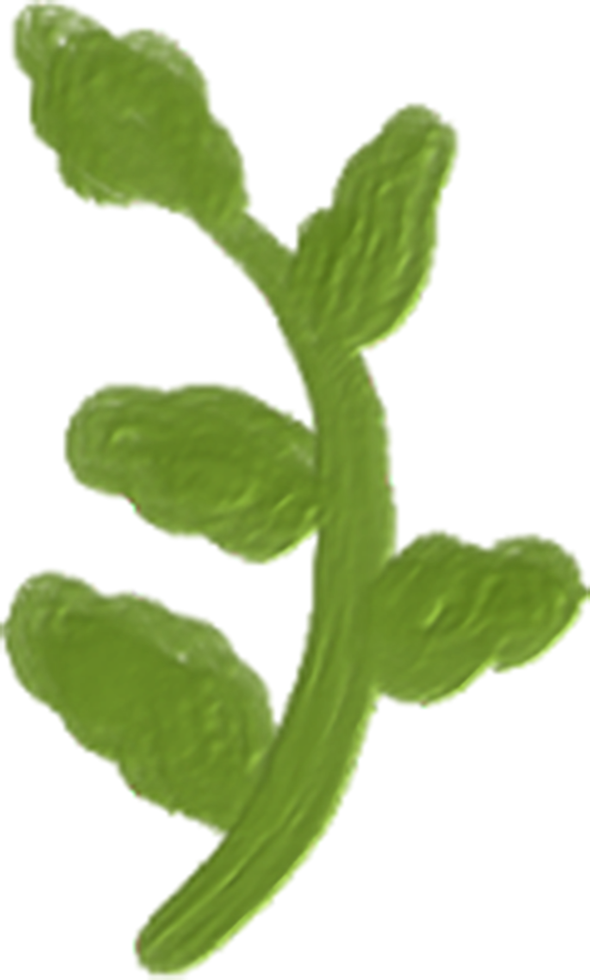 Hand drawn Oil Painting Plants png