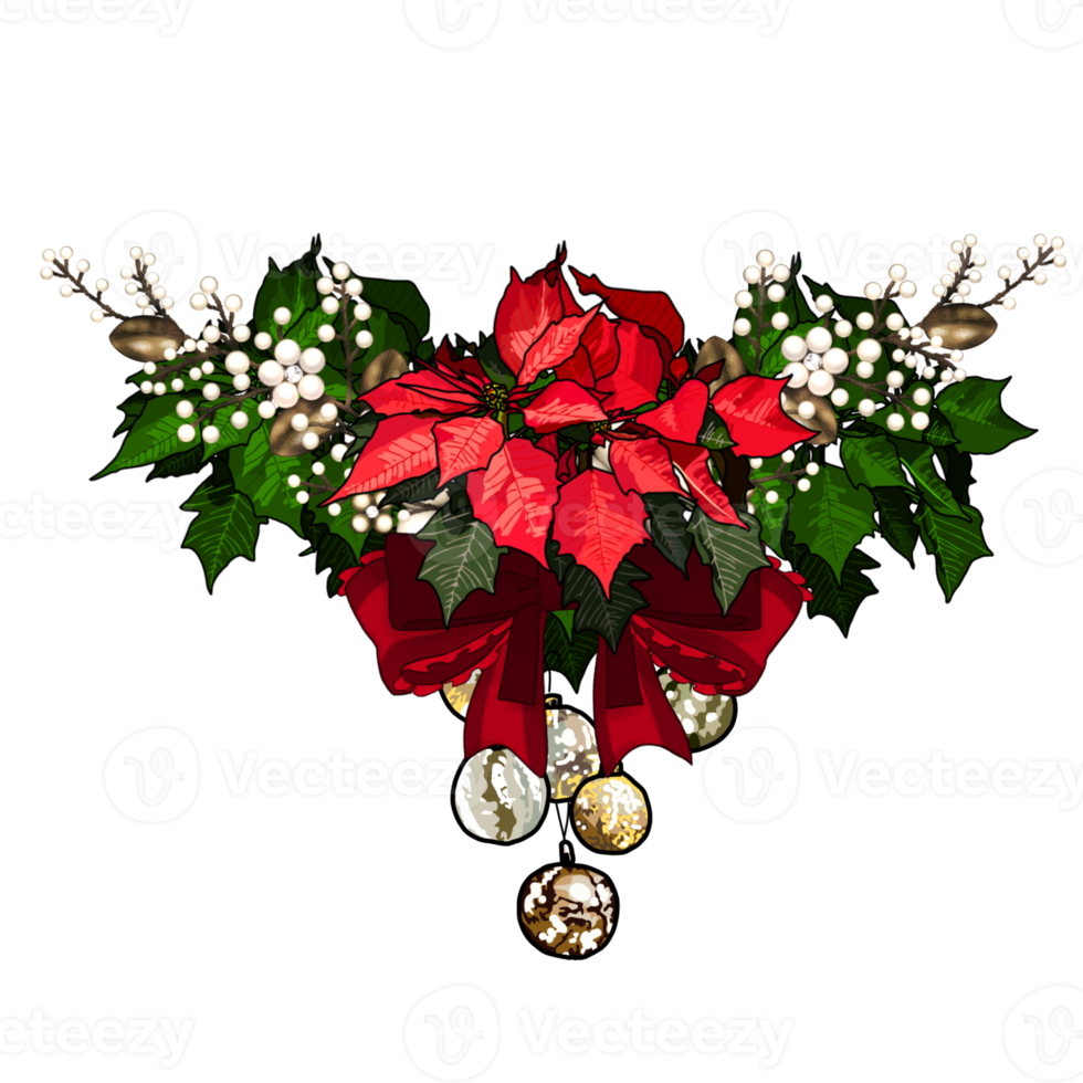 Beautiful Christmas Wreath png