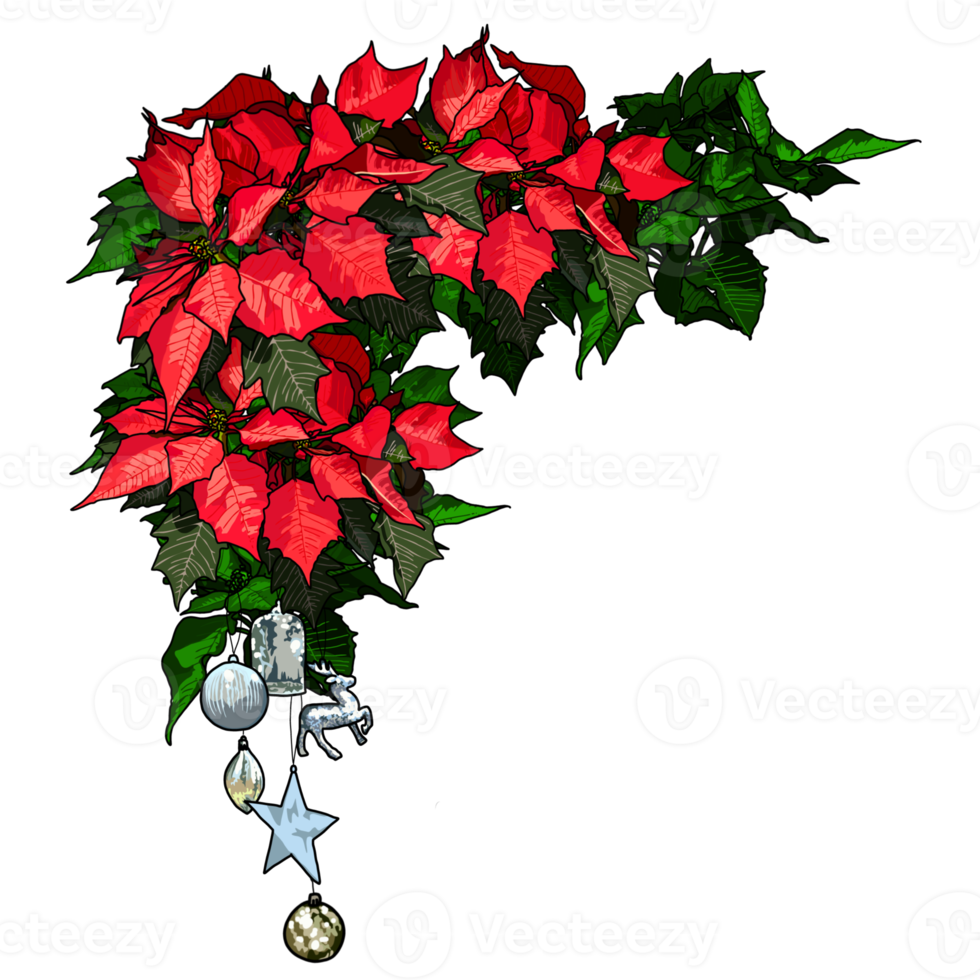 Christmas bunch of flowers png