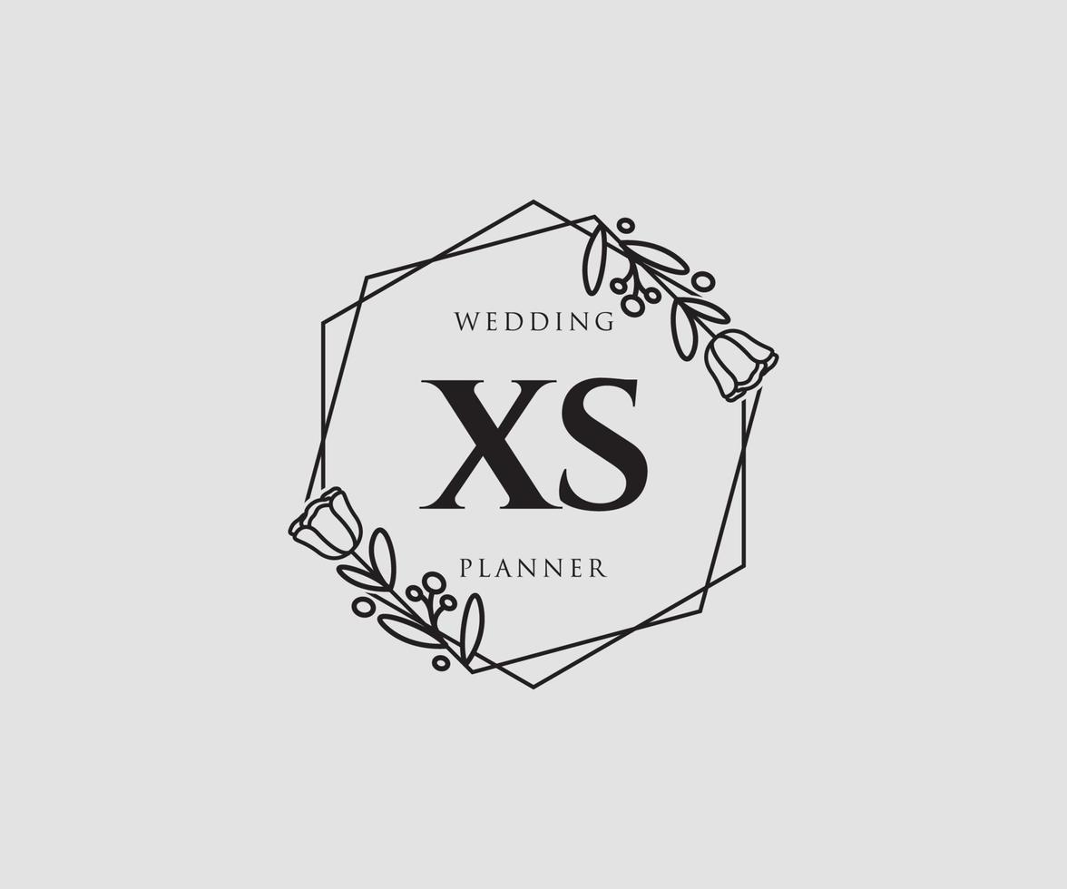 Initial XS feminine logo. Usable for Nature, Salon, Spa, Cosmetic and Beauty Logos. Flat Vector Logo Design Template Element.