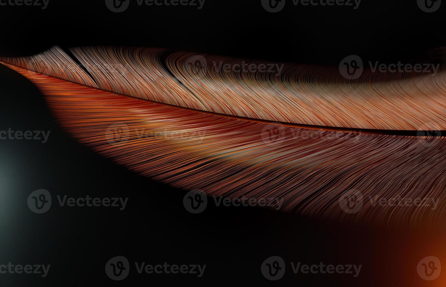 Digital Rendering Beautiful Feather in Soft Light photo