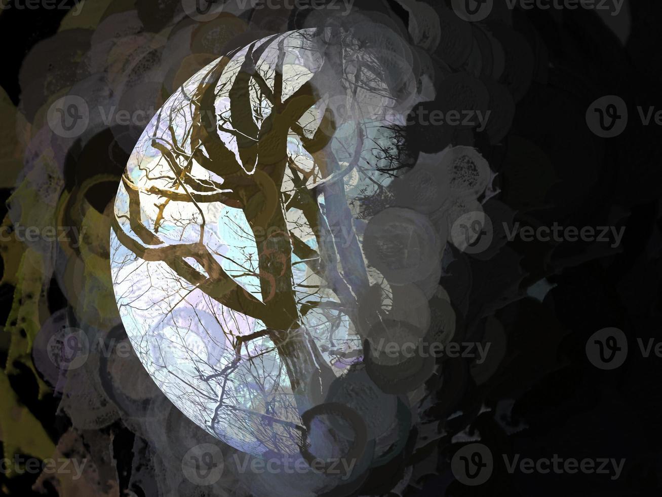 Digital Illustration Trees Circle Background photo