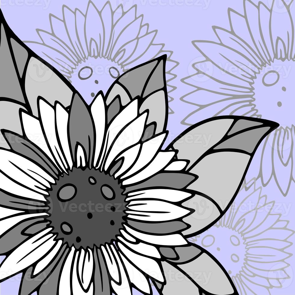pattern with large white-gray graphic sunflower flowers on a blue background, postcard, background photo