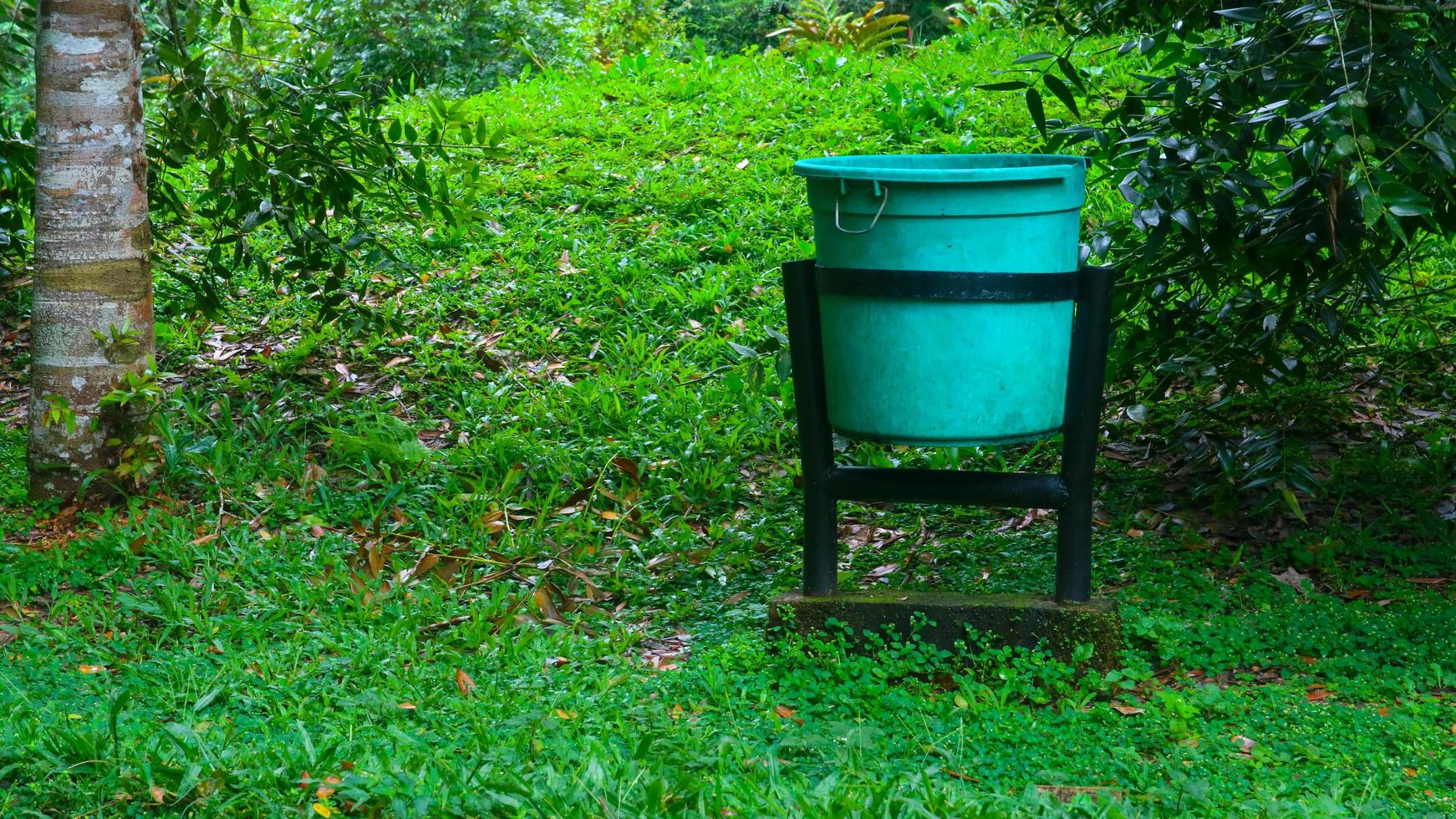 green trash can in tourist spot photo